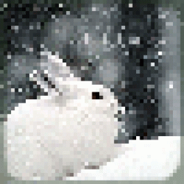 vonsisutty
