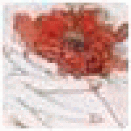 Xtoniallwak