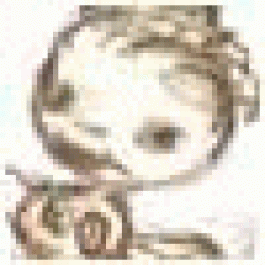 Anthonytum