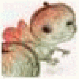 adopingcoick