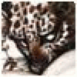 Kanouswak