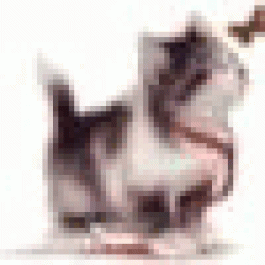 GladysBeect