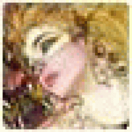 Dorothywex