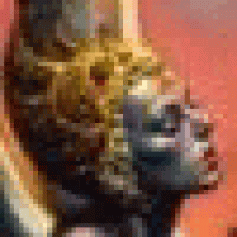 DonnaDof