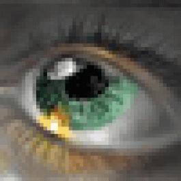 vonsisutty
